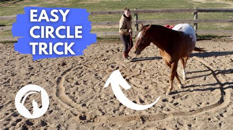 Liberty Trick Training Teach Your Horse To Circle Youtube