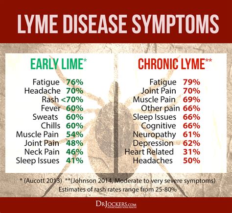 Lyme Disease Stages And Treatment