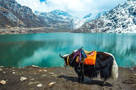 Top Things To Do In Sikkim India