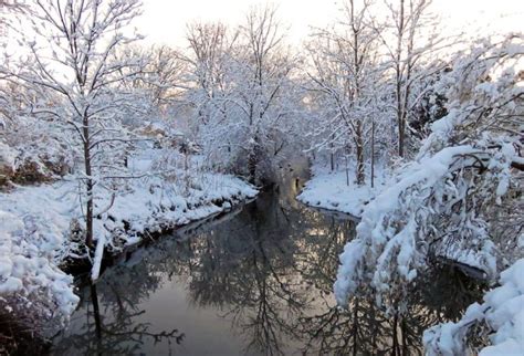 Photo Of The Week Winter Wonderland In Michigan Lireo Designs