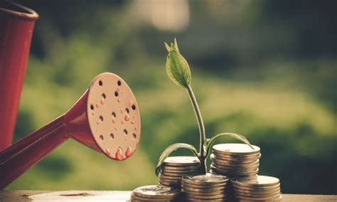 Startup universal showcases global tech startups. Where to Find Startup Business Loans | Credibly Business ...