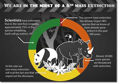 Quick Facts About The Sixth Mass Extinction