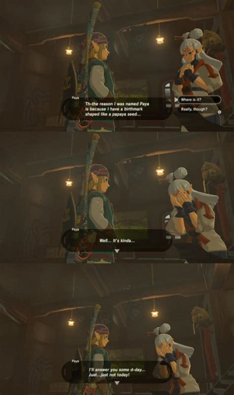 Its On Her Butt The Legend Of Zelda Breath Of The Wild Know Your Meme