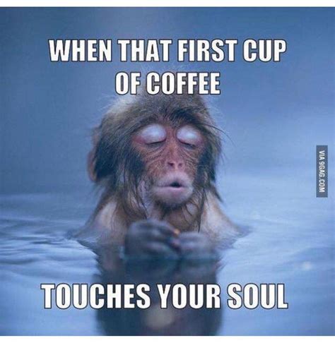 Pin By Karen Flowers On Coffee Humor Funny Good Morning Memes Funny