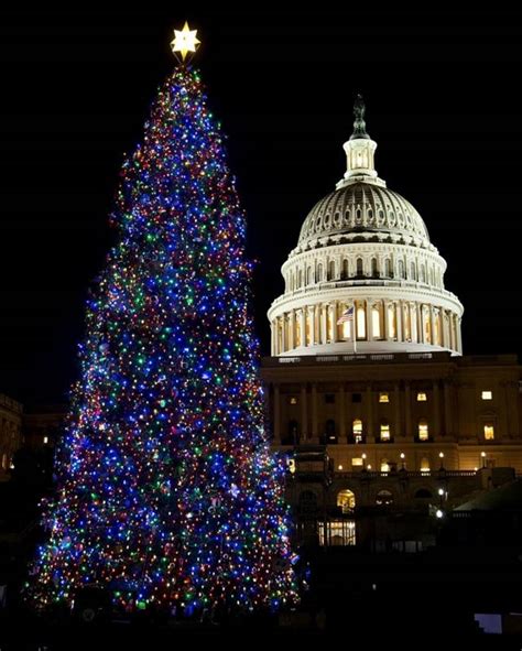 The dc circulator bus includes stops near the u.s. PAVAN MICKEY: Beautiful Christmas Trees Around the World