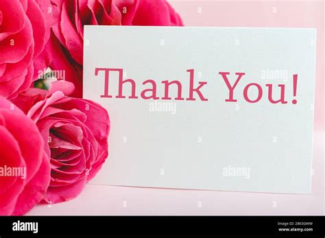 Thank You Card In Beautiful Flowers Bouquet Of Pink Roses On Pink
