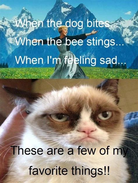 See The Fascinating Funny Frozen Grumpy Cat Pictures Hilarious Pets