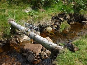 Vermin Trap Wire Gill © Karl And Ali Geograph Britain And Ireland