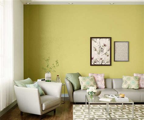 Try Aniseed Green N House Paint Colour Shades For Walls