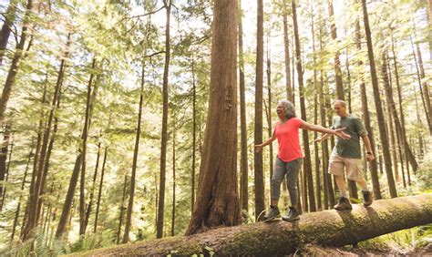 We don't ask for your phone or email to see prices. PERS Health Insurance Program