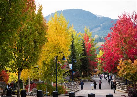 The Best Things To Do In Whistler In The Fall