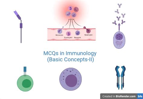 Mcqs Immunology 41 55 Basic Immunology With Answers Microbe Online