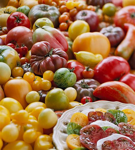 9 Tomato Diseases Better Homes And Gardens