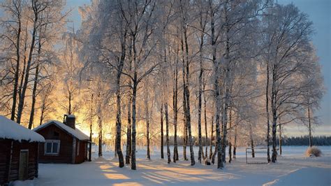 Finland A Cabin Snow Trees Birch Finland Sunrise Winter1920x1080sc