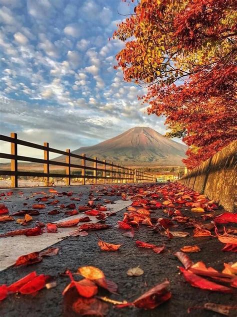 Mt Fuji In Japan During Autumn Rpics