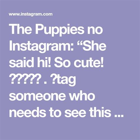 the puppies no instagram she said hi so cute