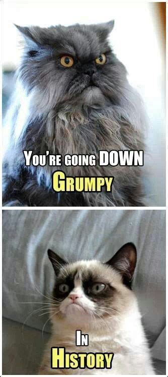 Pin By Cathleen Glascoe On Grumpy Cat Funny Grumpy Cat Memes Grumpy