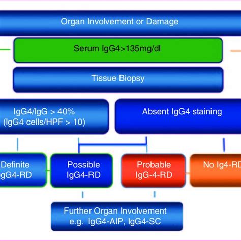 Comprehensive Diagnostic Criteria For Igg4 Related Disease Download Table