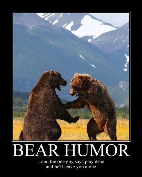 Bear Humor By Circusdog On Deviantart