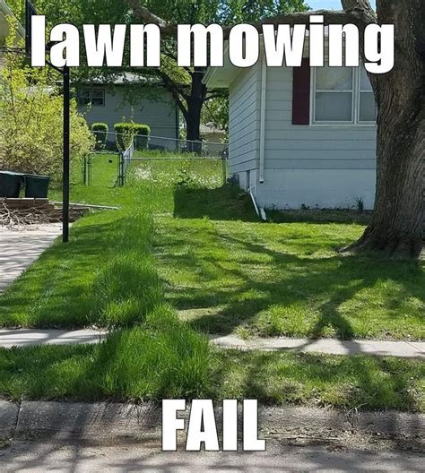 Lawn Mowing Fail Lawn Mower Mowing Lawn