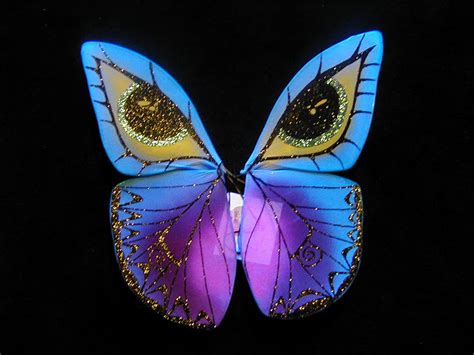 News Butterfly Butterfly Wings