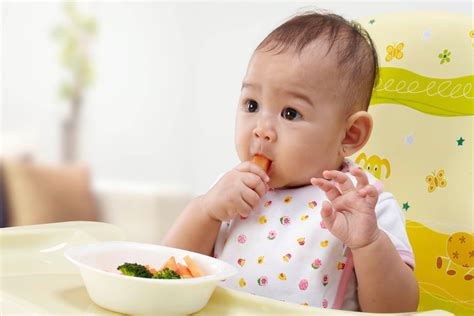 Waktu makan bayi usia ini, sebanyak tiga kali sehari dengan camilan sehat. Makanan Bayi Untuk Umur 6 Bulan