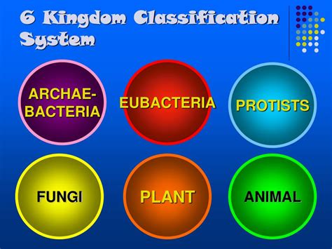 Ppt Why Classify Early Classification Systems 6 Kingdom