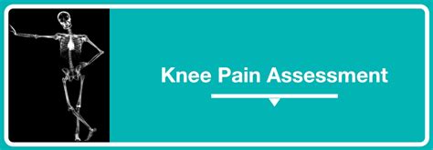 Knee Pain Symptoms And Treatment Geelong Osteopaths
