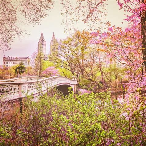 Springtime Bow Bridge Central Park New York City At Bow Bridge с
