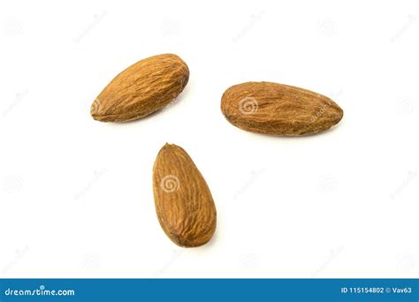 Almond Stock Photo Image Of Nature Almond Kernel 115154802