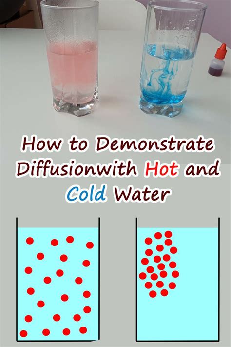 16 Food Coloring In Hot And Cold Water Experiment Comparison Of