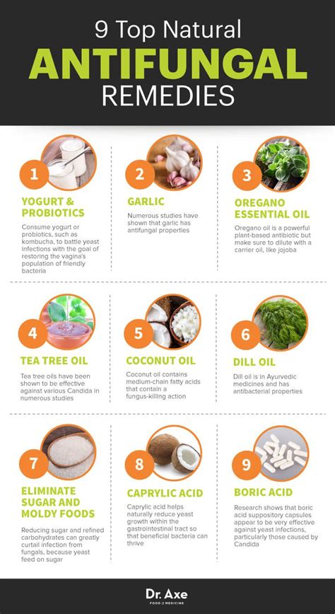 Use Antifungal Cream Try These 9 Natural Antifungal Remedies Recipe