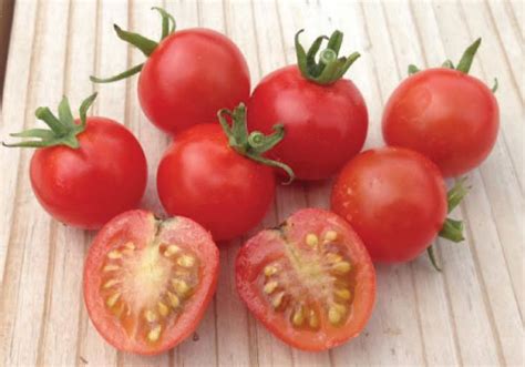 Sweetie Tomato Seeds Urban Farmer