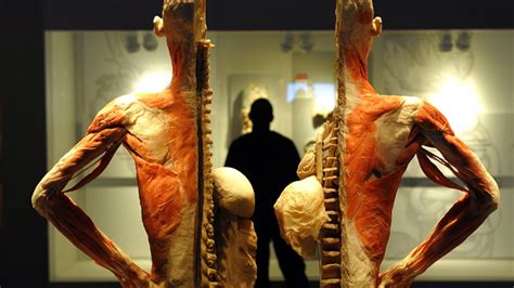 We found that getbodysmart.com is a pretty a free website study guide review that uses interactive animations to help you learn online about anatomy and physiology, human anatomy, and the human body systems. 'Get under the skin': UK's first public human dissection ...