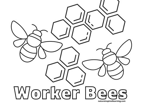 Coloring Pages Og Bees