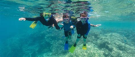 Snorkelling Snorkelling Great Barrier Reef