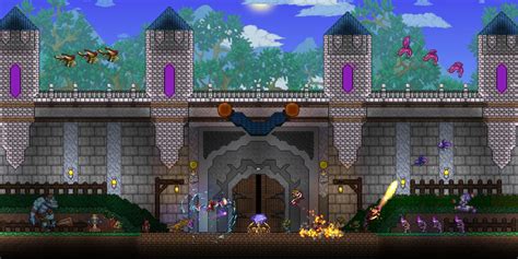 Education degrees, courses structure, learning courses. Terraria: Tips & Tricks For New Players | Screen Rant