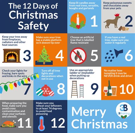 12 Days Of Christmas Safety Tips 3b Training Limited