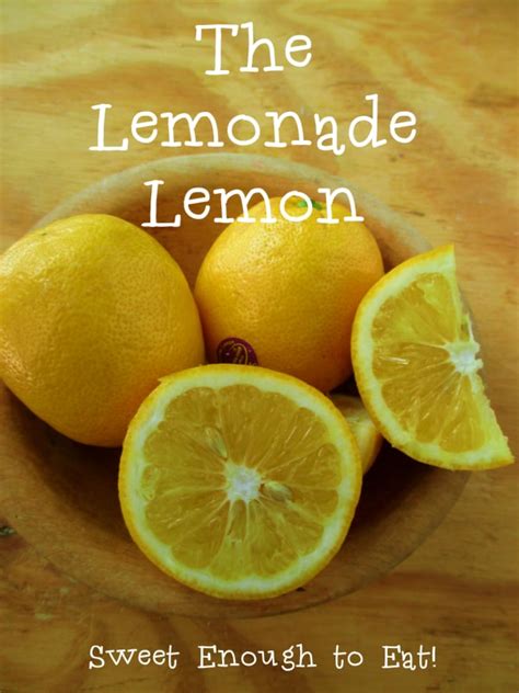 The Lemonade Lemon Eat Like No One Else
