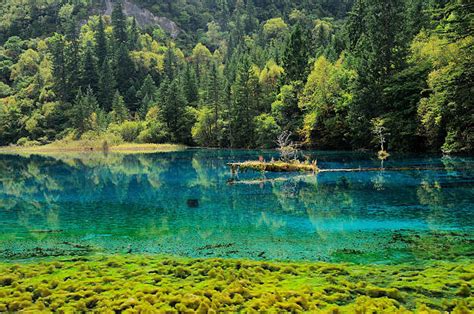 Jiuzhaigou Valley Stock Photos Pictures And Royalty Free Images Istock
