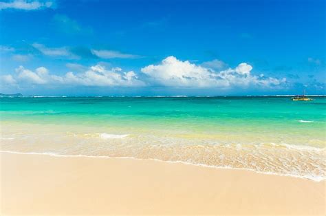 Honolulu Beach