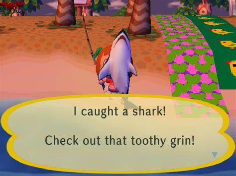 Players may catch them by using their fishing rod. Shark - Animal Crossing Wiki - Wikia