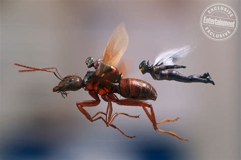 Ant Man And The Wasp Ant Man And The Wasp 4k 8k Wallpapers Hd