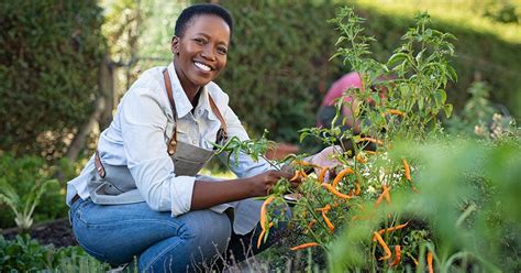 Why Is Gardening Good For You