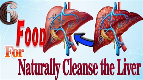 Eat 6 Food For Liver Cleans Naturally Tips What Food For Naturally
