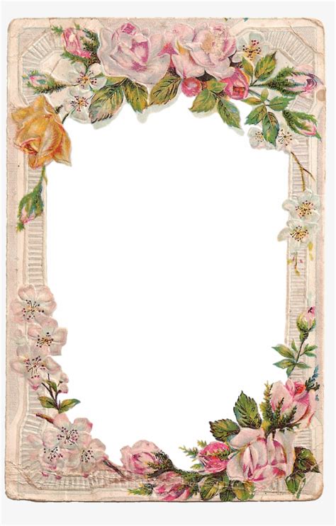 Download Rose Frame Flower Frame Png Borders And Frames Frame