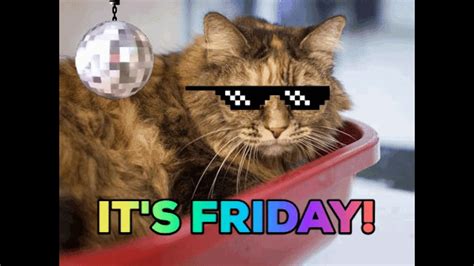 13 Meme Happy Friday Cat Movie Sarlen14