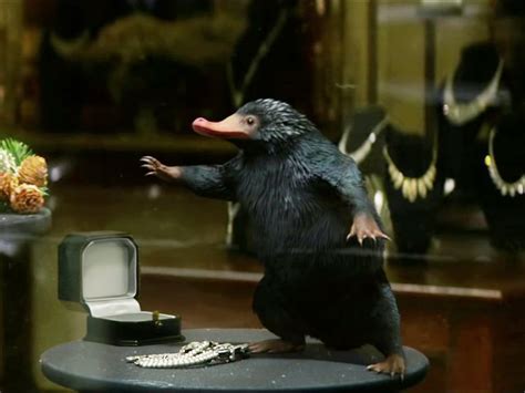 The Niffler In Fantastic Beasts And Where To Find Them Business Insider