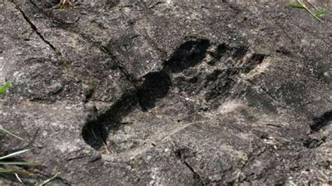 The Giant Footprint Of Pingyan Giant Made Or Man Made Ancient Origins