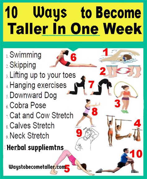 Best Ways To Become Taller In One Week Get Taller Exercises Tips To